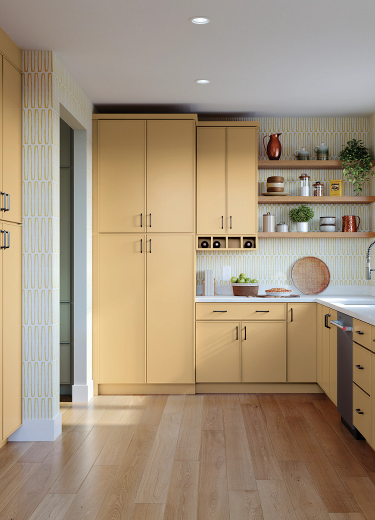 Functional kitchen design featuring a stocked pull-out pantry and stainless steel appliances.