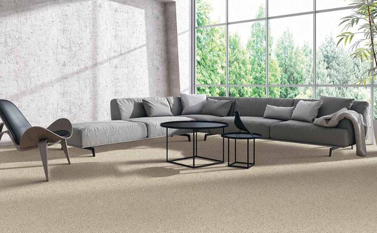 What's the Best Carpet for High Traffic Areas?