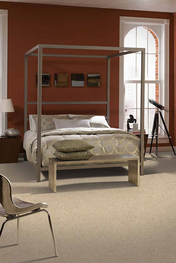 Canopy bed on beige carpet