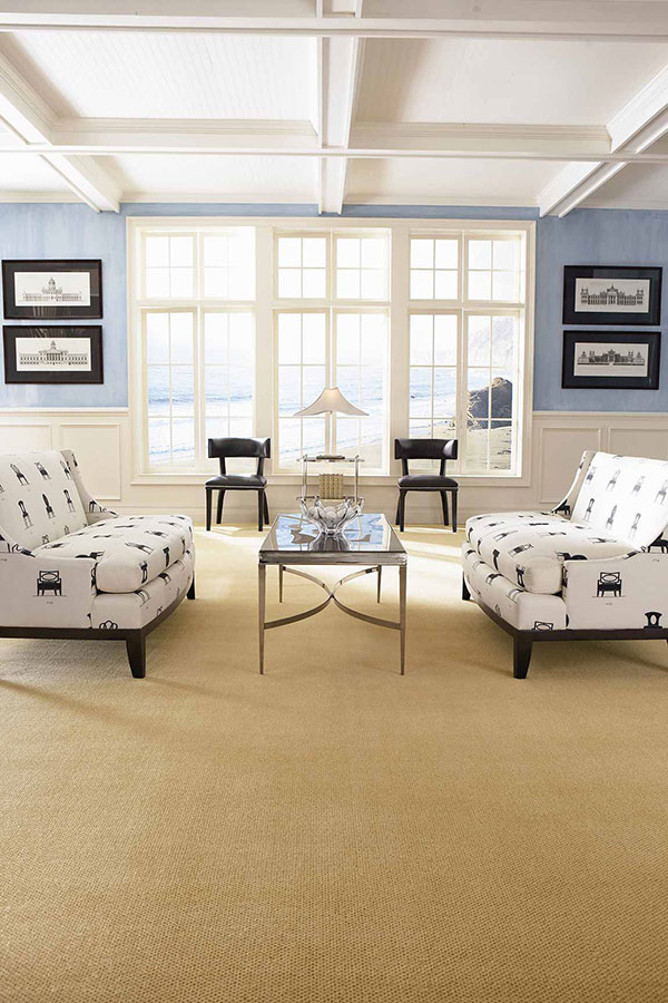 Living room with white and blue sofas on tan carpet with light blue and white painted walls.