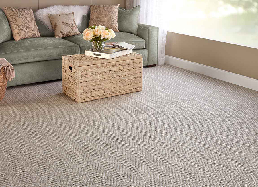 Living room with a neutral color scheme and carpet with zig zags