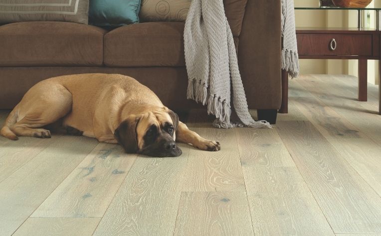 What S The Best Dog Friendly Flooring, Best Flooring For Living Room With Pets