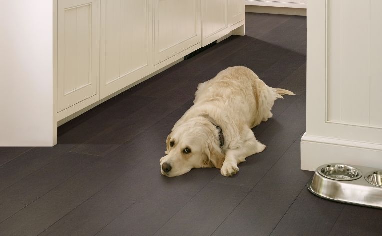 What S The Best Dog Friendly Flooring, Good Flooring For Dogs