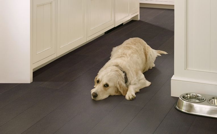 Best Pet-Friendly Flooring Guide