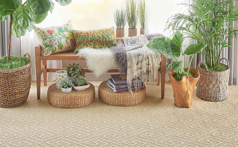 Discover Nature-Inspired Home Décor Ideas
