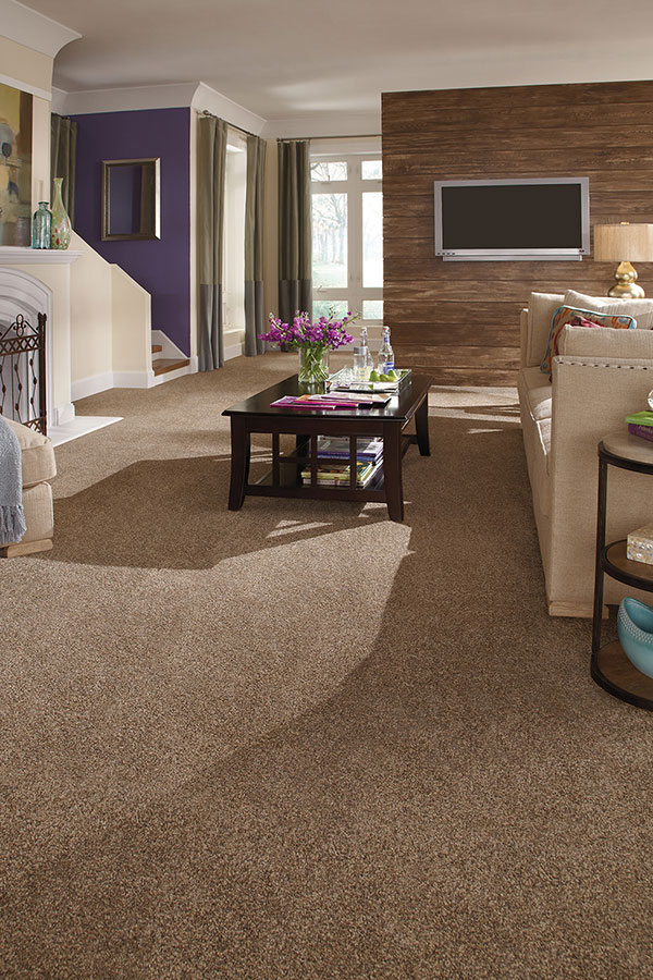 Shopping for Carpet in High Traffic Areas of Your Home | Flooring America